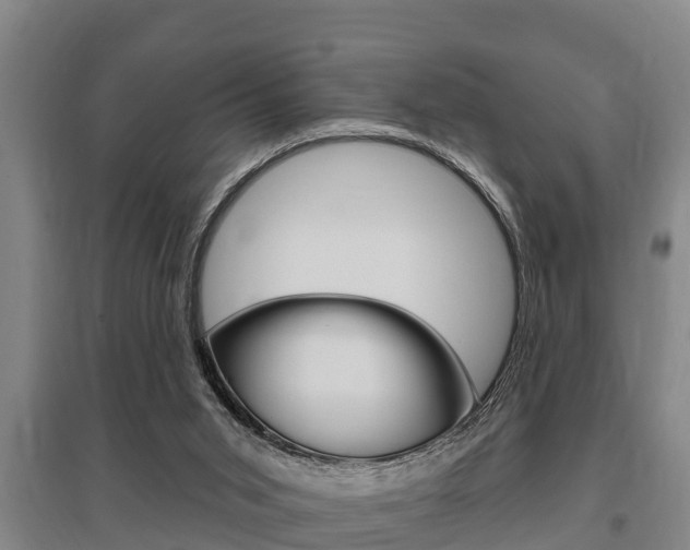 X0000095960015200801110956