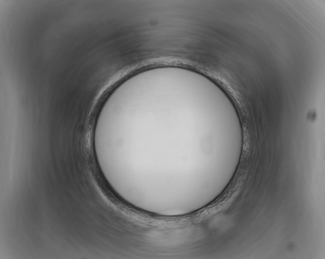 X0000095960016200801110956