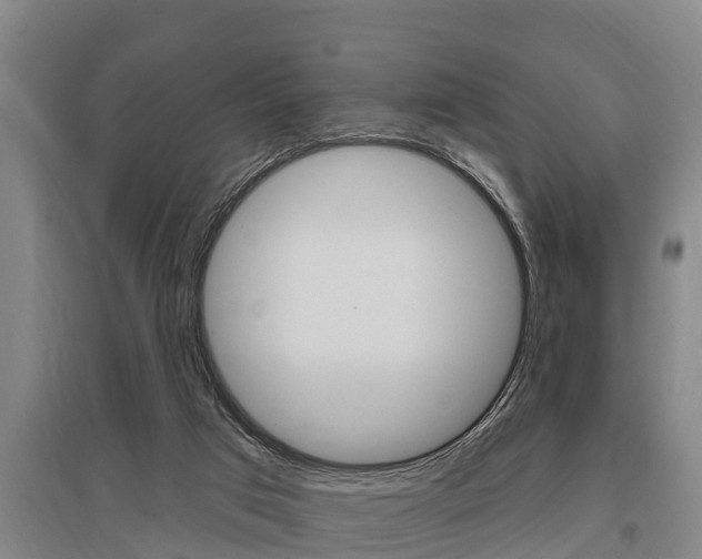 X0000095960017200801110956