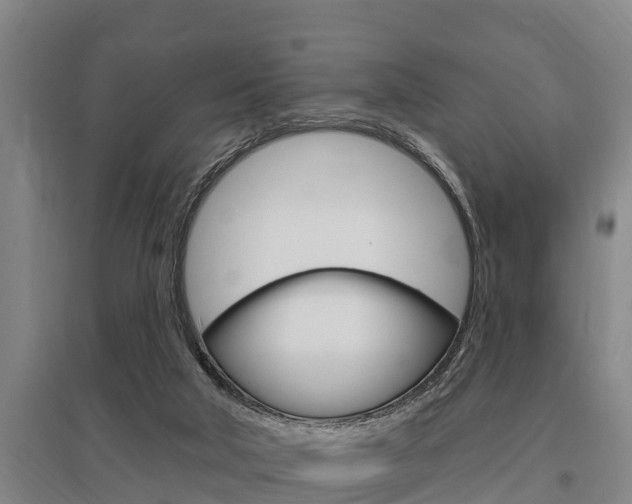 X0000095960018200801110956