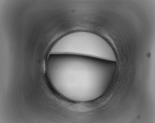 X0000095960020200801110956