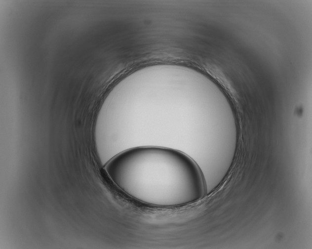 X0000095960021200801110956