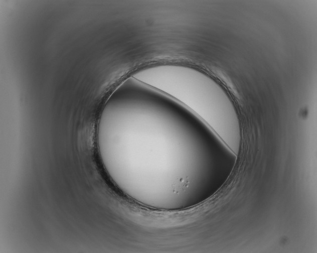X0000095960023200801110956