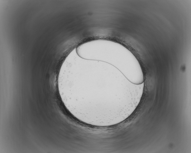 X0000095960024200801110956