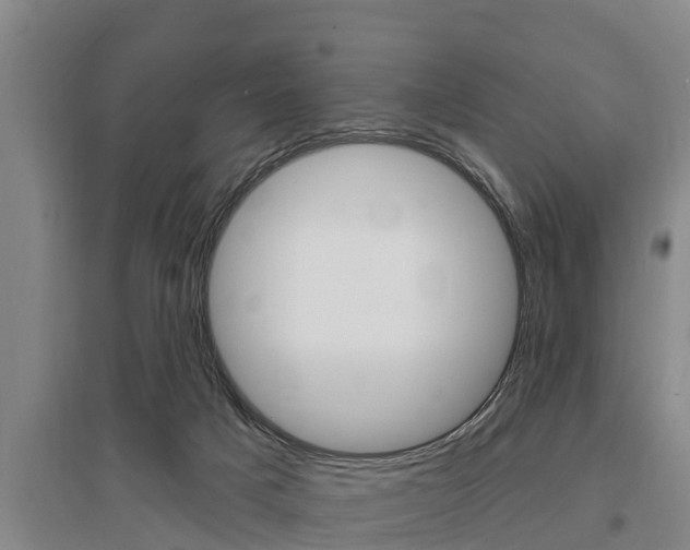 X0000095960025200801110956
