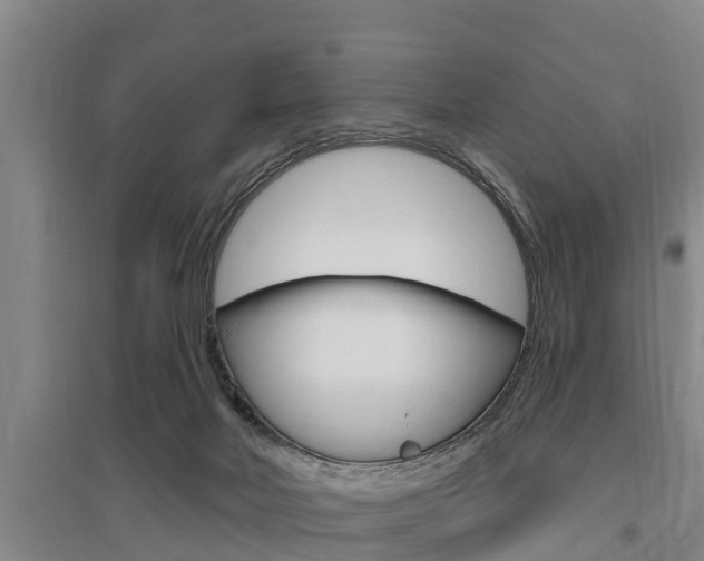 X0000095960026200801110956