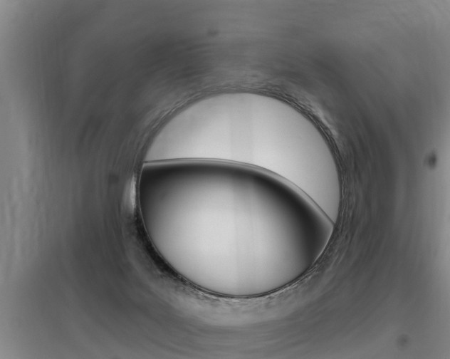 X0000095960027200801110956