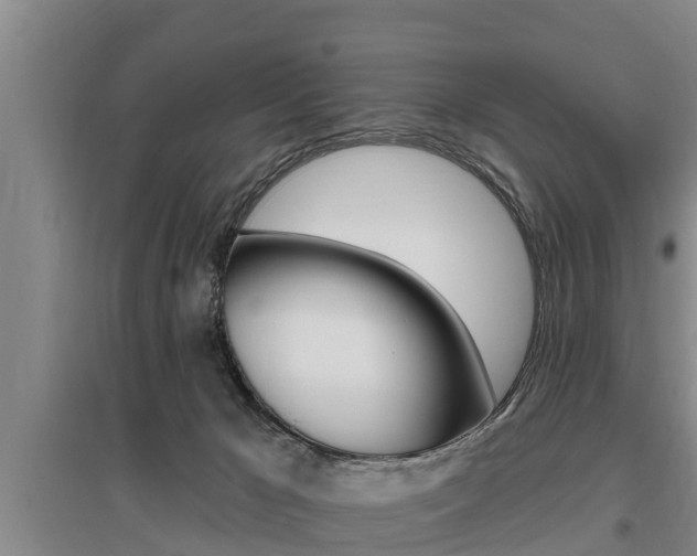 X0000095960029200801110956