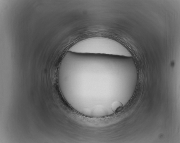 X0000095960030200801110956