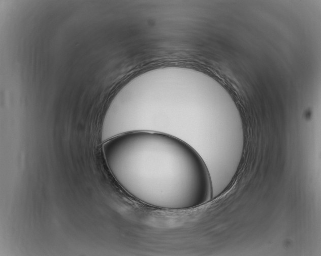X0000095960033200801110956