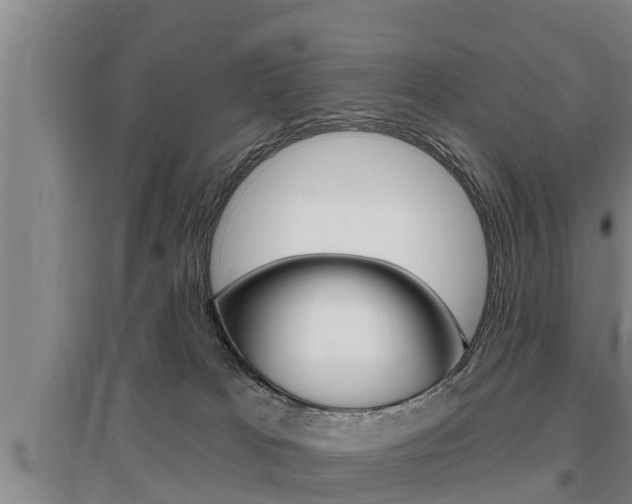 X0000095960037200801110956