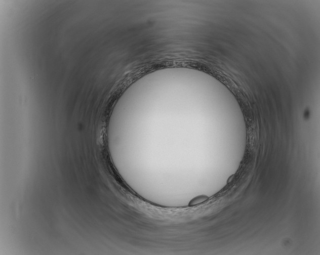 X0000095960038200801110956