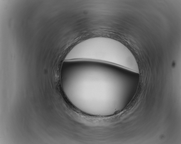 X0000095960040200801110956