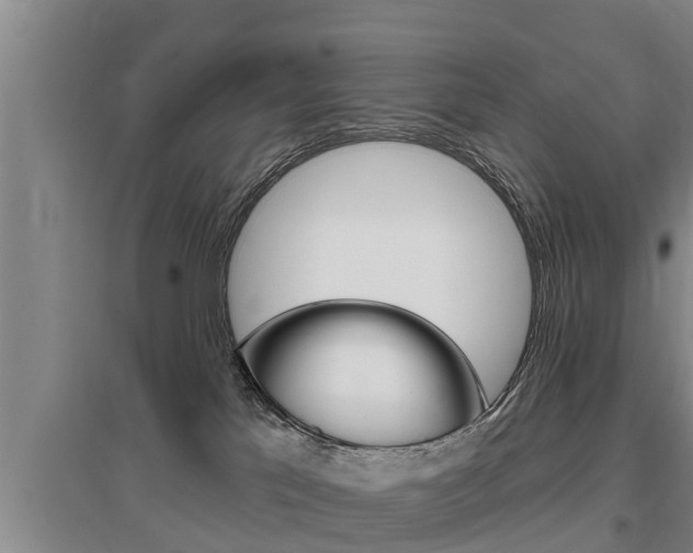 X0000095960041200801110956