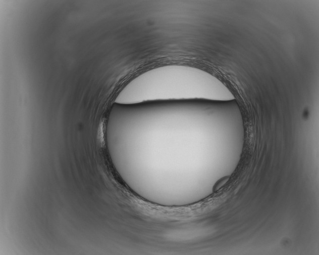 X0000095960042200801110956
