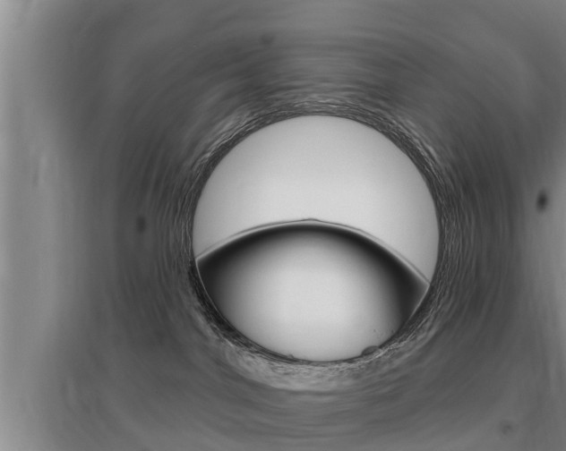 X0000095960044200801110956