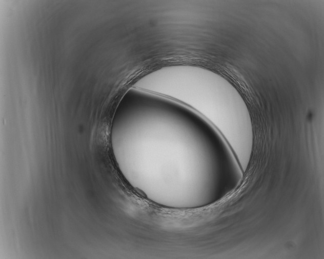 X0000095960045200801110956