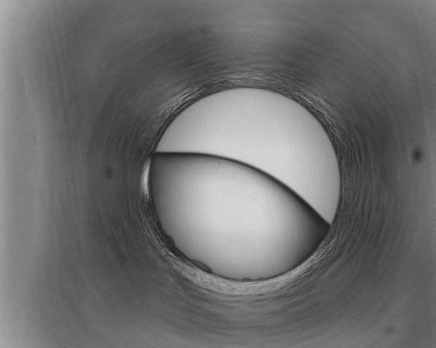 X0000095960047200801110956