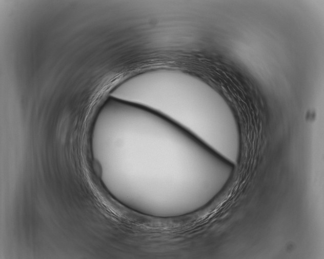 X0000095960049200801110955