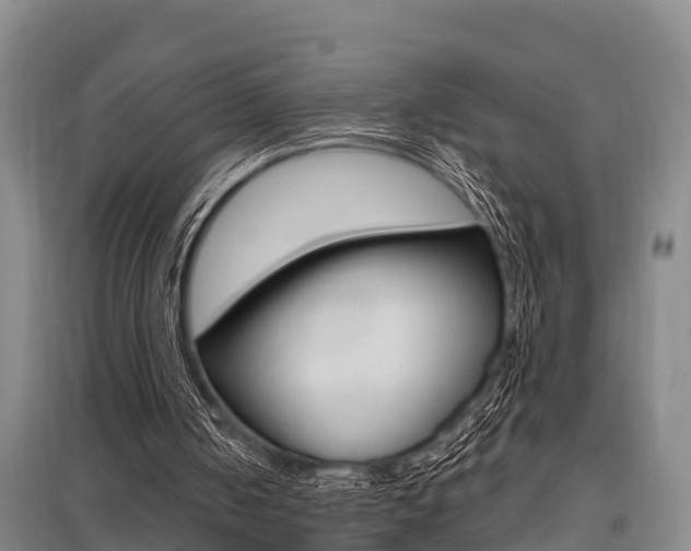 X0000095960050200801110955