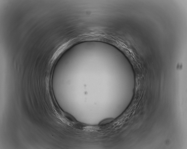 X0000095960051200801110955