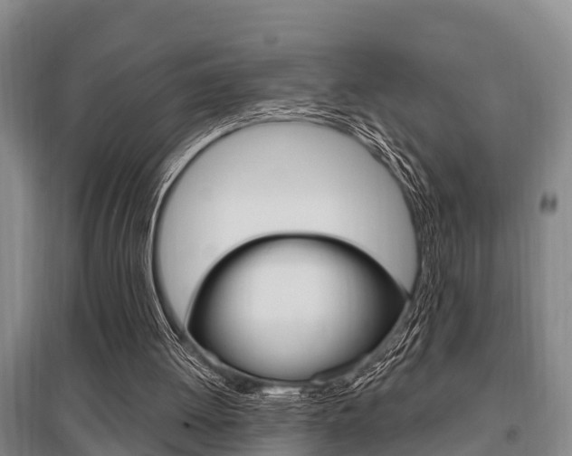 X0000095960052200801110955