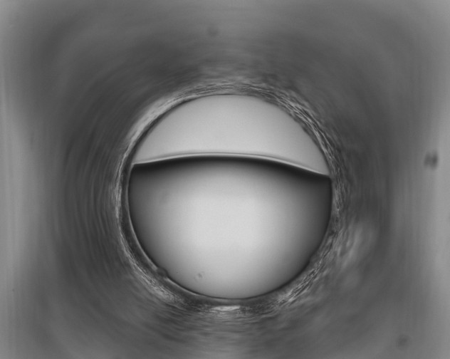 X0000095960054200801110955