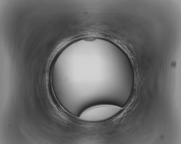 X0000095960055200801110955