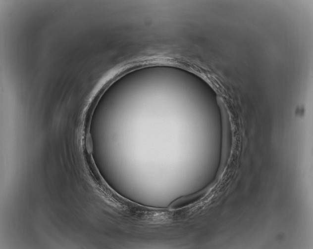 X0000095960056200801110955