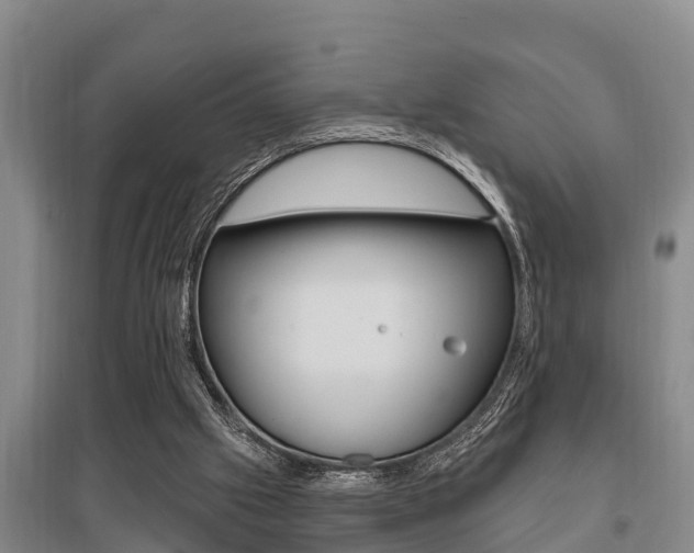 X0000095960057200801110955