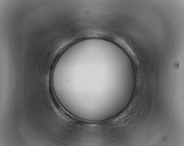 X0000095960058200801110955