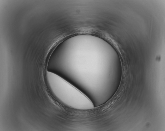 X0000095960059200801110955