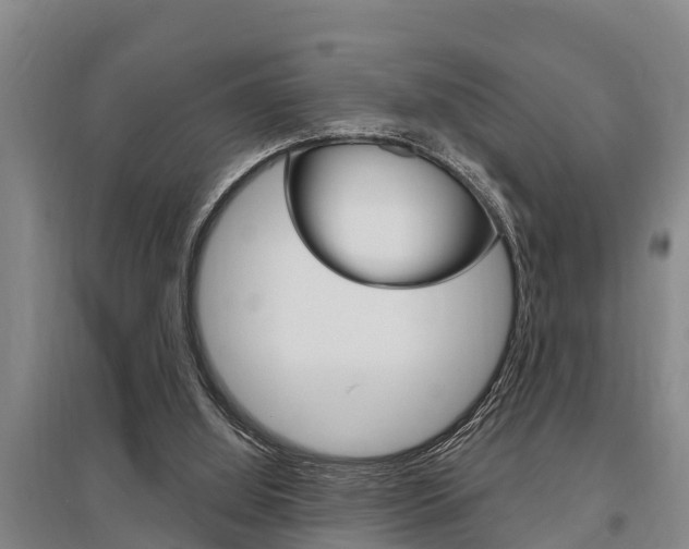 X0000095960060200801110955
