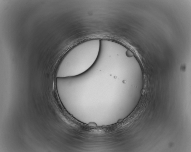X0000095960061200801110956