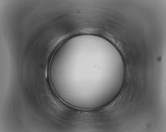 X0000095960062200801110956