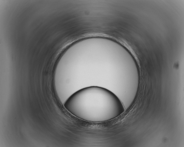 X0000095960063200801110956