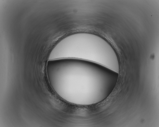 X0000095960066200801110956