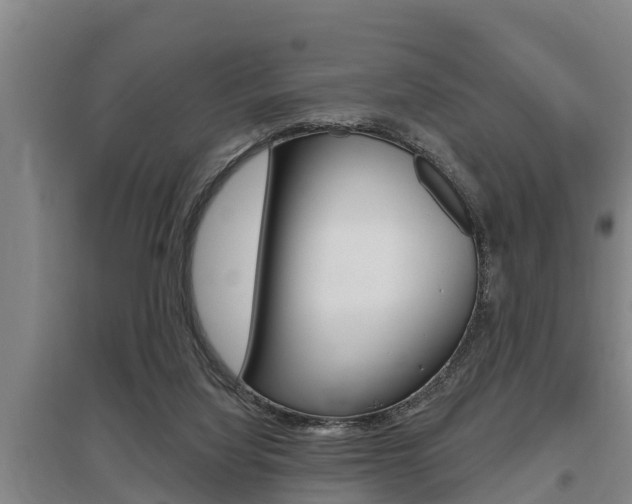 X0000095960068200801110956
