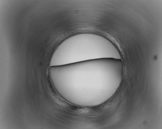 X0000095960069200801110956