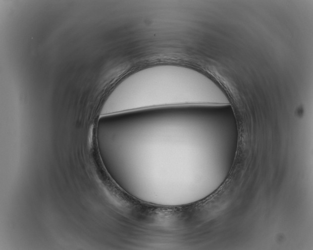 X0000095960070200801110956