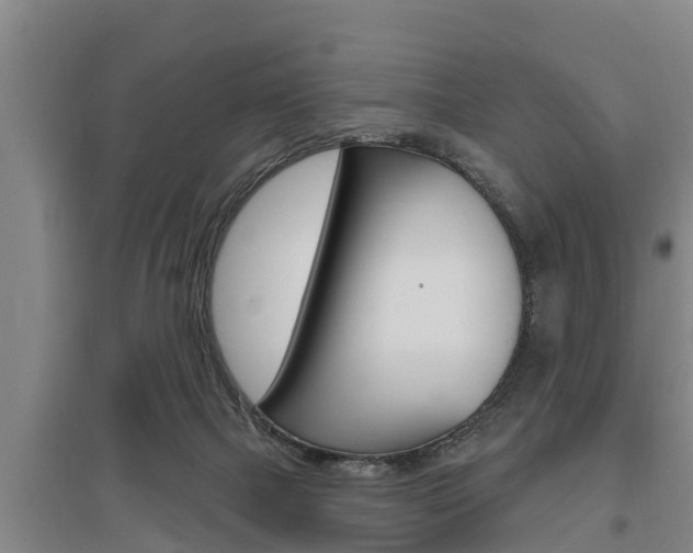 X0000095960073200801110956
