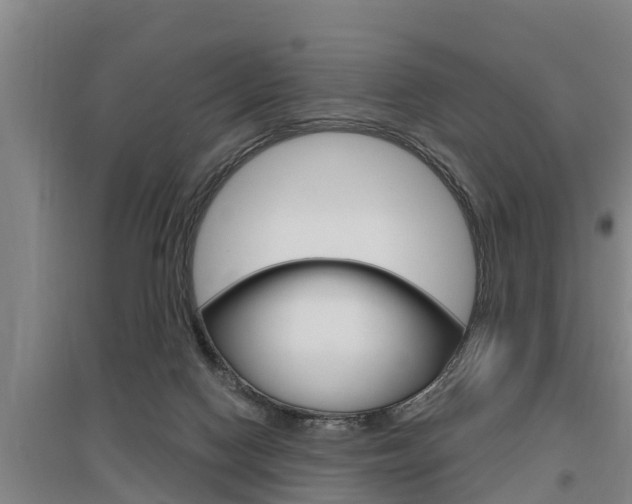 X0000095960074200801110956