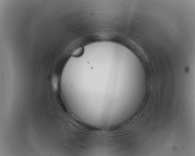 X0000095960075200801110956