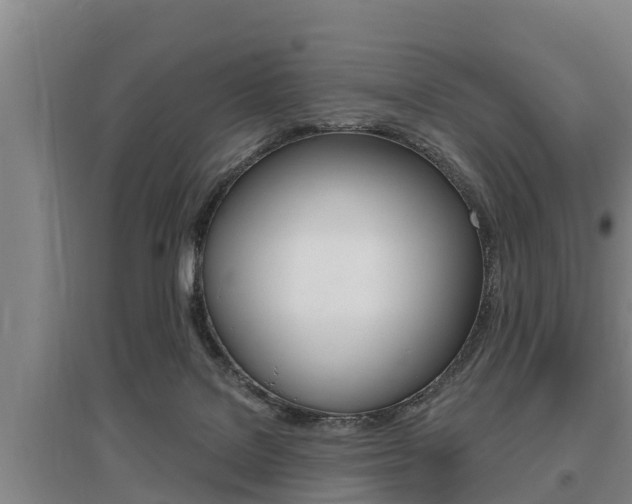 X0000095960076200801110956