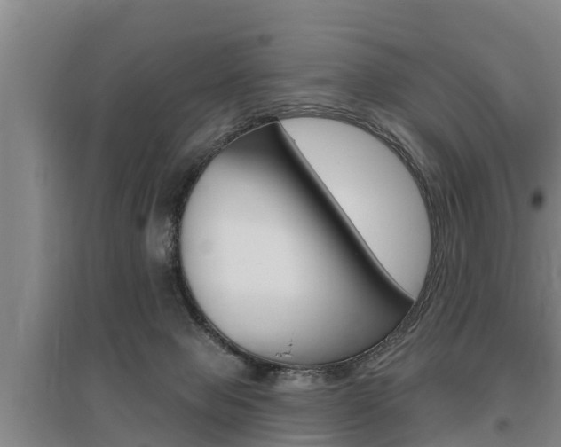 X0000095960077200801110956