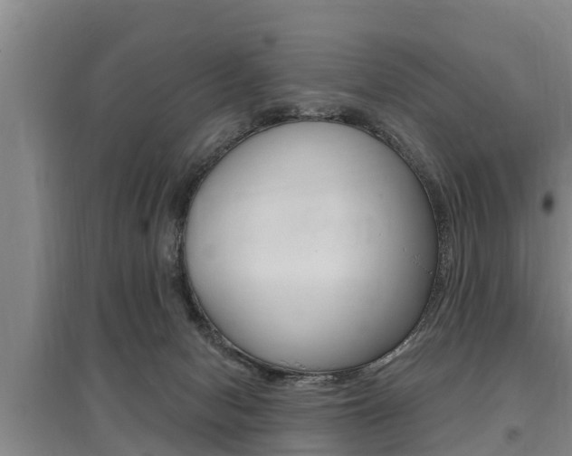 X0000095960078200801110956
