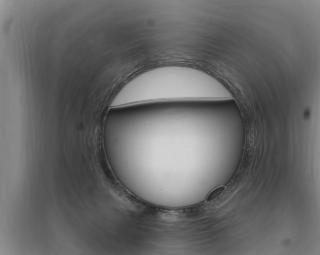 X0000095960079200801110956