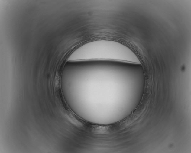 X0000095960081200801110956