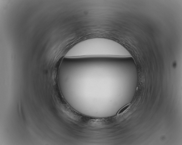 X0000095960082200801110956