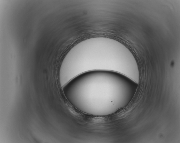 X0000095960085200801110956